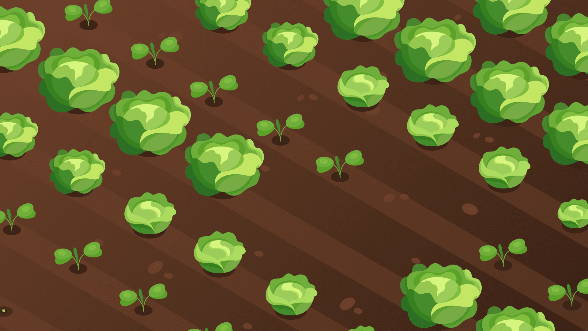 Generated crop layout preview